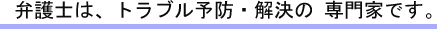 弁護士は、トラブル予防・解決の専門家です。